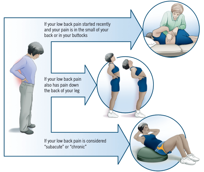Low Back Pain - Physiopedia